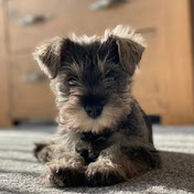 Profile Picture of Jose Herrera (@user-nw5fl7lk8b) on Youtube