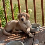 Profile Picture of Raymond Blevins (@raymond.blevins.334) on Facebook