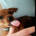 Profile Picture of Rusty R Brown (@rustybrown2020) on Instagram