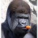 Profile Picture of Andrew Everett (@andrew.everett.7355) on Facebook