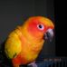 Profile Picture of Nora Tuttle (@nora.tuttle.5) on Facebook
