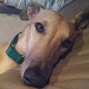 Profile Picture of Carol Schultz (@carolschultz3723) on Youtube