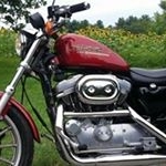Profile Picture of mike witmer (@mwitmer1964) on Instagram
