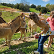 Jade Joyce - Youtube Profile Picture of Jade Joyce (@jadejoyce7919) on Youtube