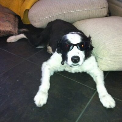 Profile Picture of Mark (@MarkBraddy04) on Twitter