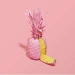 Profile Picture of Jane (@fowler__jane) on Instagram