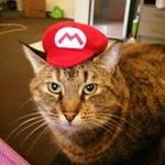 Profile Picture of Mandy Allen Chadwick (@mandylchad) on Instagram