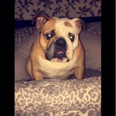 Profile Picture of Lisa Catlin (@BLUETIT40) on Twitter