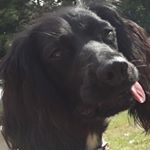 Profile Picture of Zack Bell (@zack_bell_3) on Instagram