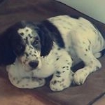 Profile Picture of nathan (@nathan.bertani) on Instagram