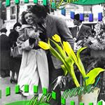 Profile Picture of shea adkins (@shea3695dn) on Instagram