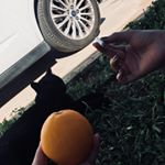 Profile Picture of tutunamayan.giller (@tutunamayan.giller) on Instagram