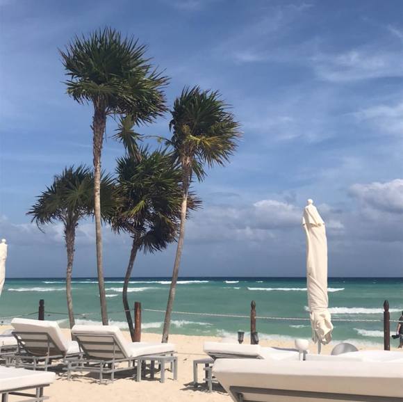 Chris Mcnamara - Poshmark Profile Picture of Chris Mcnamara (@chrismcnamar238) on Poshmark