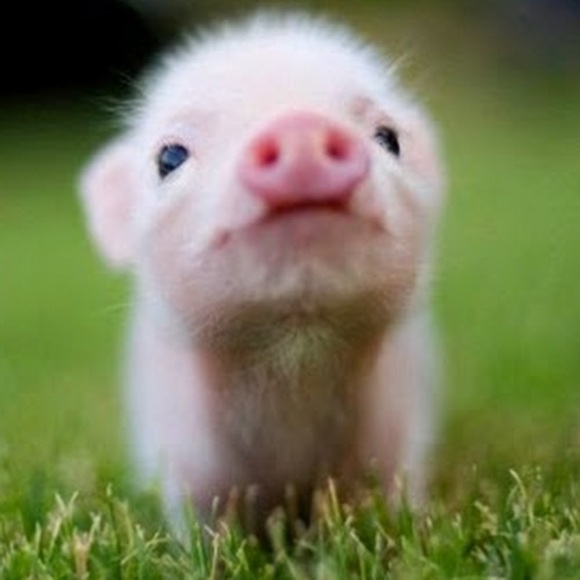 Profile Picture of Raymee Debry (@raymeedebry) on Poshmark