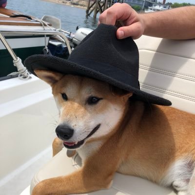 James Tambone - Twitter Profile Picture of James Tambone (@TamboneJames) on Twitter