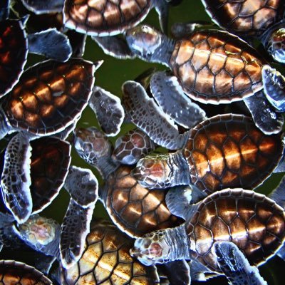 Profile Picture of Derek Bailey (@derek_bails) on Twitter