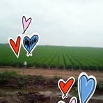 Profile Picture of Rubén Avilés (@Rubén-Avilés) on Facebook