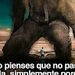 Profile Picture of Darwin Gonzalo Cahuapaza Almanza (@cahuapazaalmanza) on Pinterest