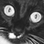 Profile Picture of Shananny (@shananny) on Flickr