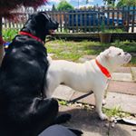 Profile Picture of Jasmine & Zuko Sengsourichanh (@zukoandjaz) on Instagram