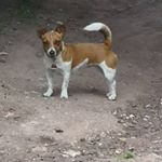 Profile Picture of Elli (@mario_winkler_1973) on Instagram