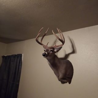 Profile Picture of Ray Balderas (@ray.balderas.543) on Facebook