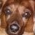 Profile Picture of Bobbie Skeen (@bobbieskeen) on Pinterest