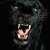 Profile Picture of Robert Harte (@robert.harte.58) on Facebook