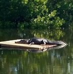 Profile Picture of Shawn Noel (@shawn.noel.5682) on Facebook