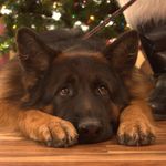 Profile Picture of Debbie McHenry (@dmchenry4) on Instagram