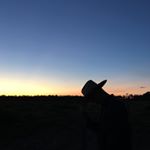 Profile Picture of Toby Taylor (@tobytaylor3) on Instagram