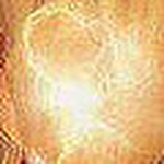 Profile Picture of Stephen Rowlands (@journey of the lost soul) on Flickr