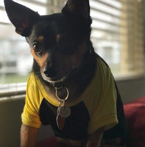 Profile Picture of Javier Chavez (@ndamixx20) on Poshmark