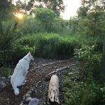 Profile Picture of Jeff Agnew (@natural.louisana) on Instagram