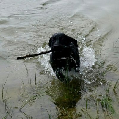 Profile Picture of Bob Duval (@Bobduval9604) on Twitter