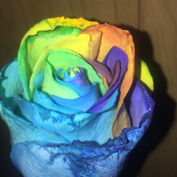 Profile Picture of Nevaeh Sheeter (@nevaeh2022) on Poshmark