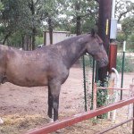 Profile Picture of Dane Lancaster (@flying7dane) on Instagram