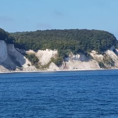 Profile Picture of michaelaskrzypek (@michaelaskrzypek) on Tiktok