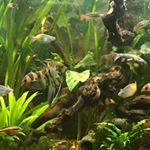 Profile Picture of Stewart Mckay (@stewartmckay38) on Instagram