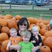 Profile Picture of Mary Ann Pope (@manorman) on Pinterest