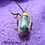 Profile Picture of Mauro Robledo Restrepo (@Filmigrana) on Flickr