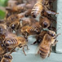 Profile Picture of Martin Dunn (@martin-dunn-75) on Quora