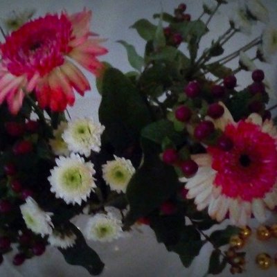 Semra Celik - Twitter Profile Picture of Semra Celik (@karakuzu) on Twitter