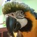 Profile Picture of Nicholas Lepore (@nicholas.lepore.735) on Facebook