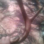 Profile Picture of Eric  quade rain (@e.quade) on Instagram