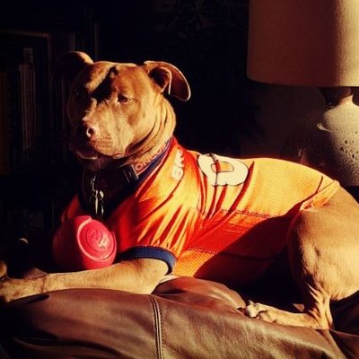 Profile Picture of Anthony Beebe (@AnthonyBeebe) on Twitter