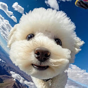 Profile Picture of Matthew Whittemore (@matthewwhittemore4253) on Youtube