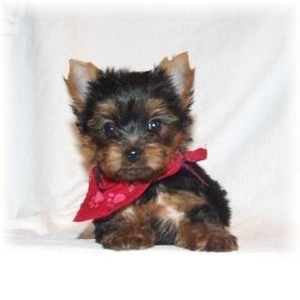 Profile Picture of Jean Lohr (@hayleebutt1) on Myspace