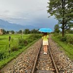 🌺❤️🌺 - Instagram Profile Picture of 🌺❤️🌺 (@floralfantasy___) on Instagram