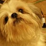 Profile Picture of Jacqueline Keister (@jacquelinekeister) on Instagram